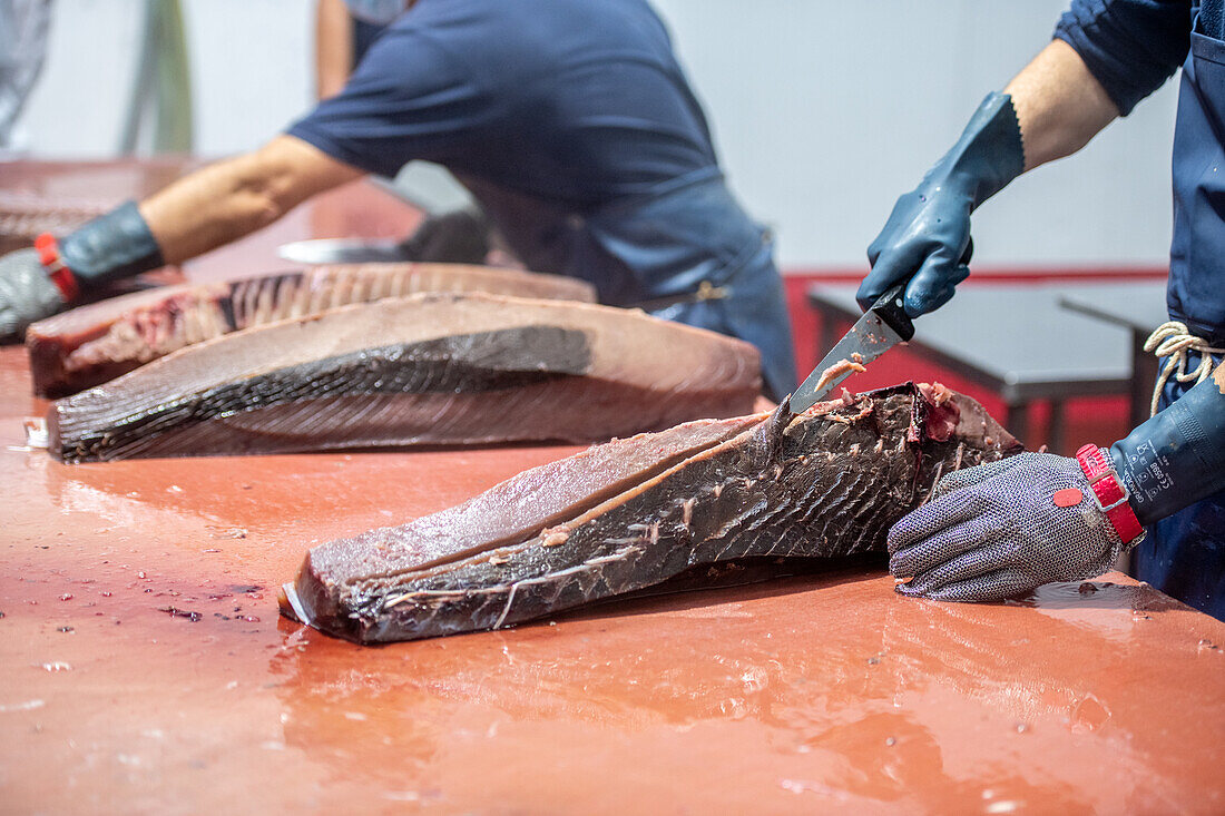 Schneiden und Vorbereiten von Fisch für den Konservierungsprozess, Fischkonservenfabrik (USISA), Isla Cristina, Spanien