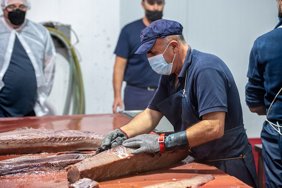 Schneiden und Vorbereiten von Fisch für den Konservierungsprozess, Fischkonservenfabrik (USISA), Isla Cristina, Spanien