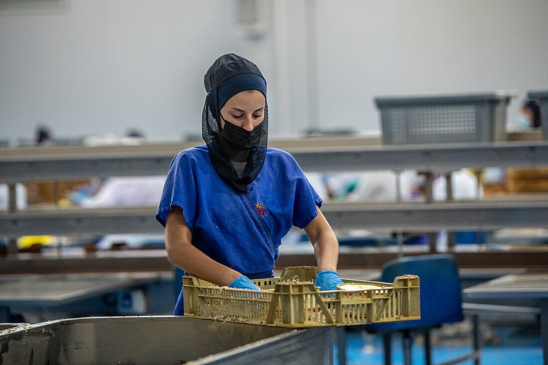 Frau an der Linie, die den Fisch von Hand säubert, bevor er in die Dose kommt, Fischkonservenfabrik (USISA), Isla Cristina, Spanien