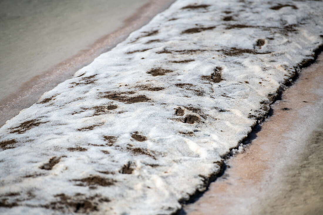 Salt marshes, Isla Cristina, Spain