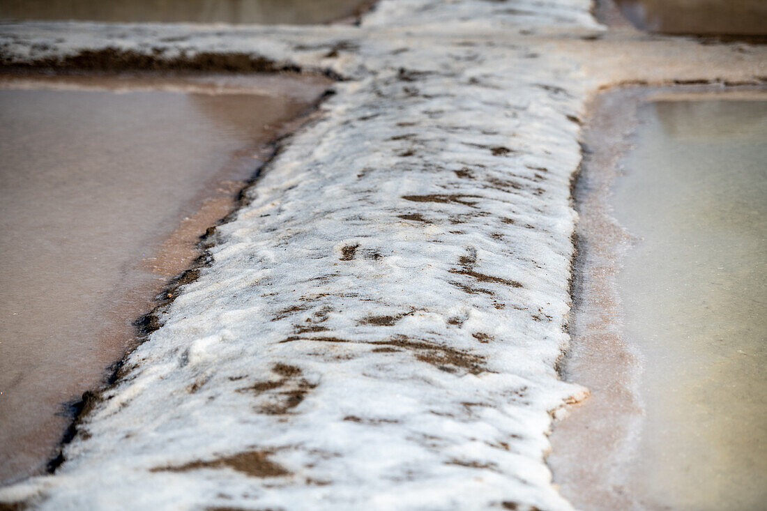 Salt marshes, Isla Cristina, Spain