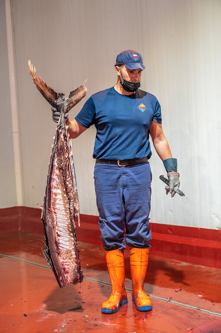 Schneiden und Vorbereiten von Fisch für den Konservierungsprozess, Fischkonservenfabrik (USISA), Isla Cristina, Spanien