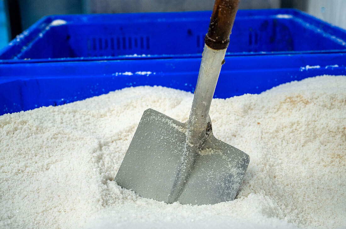 Shovel in pile of salt at fish canning factory (USISA), Isla Cristina, Spain