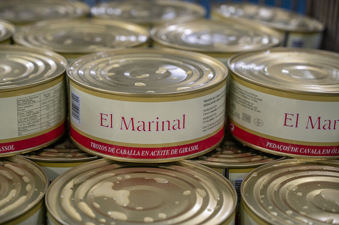 Canned fish, Fish canning factory (USISA), Isla Cristina, Spain