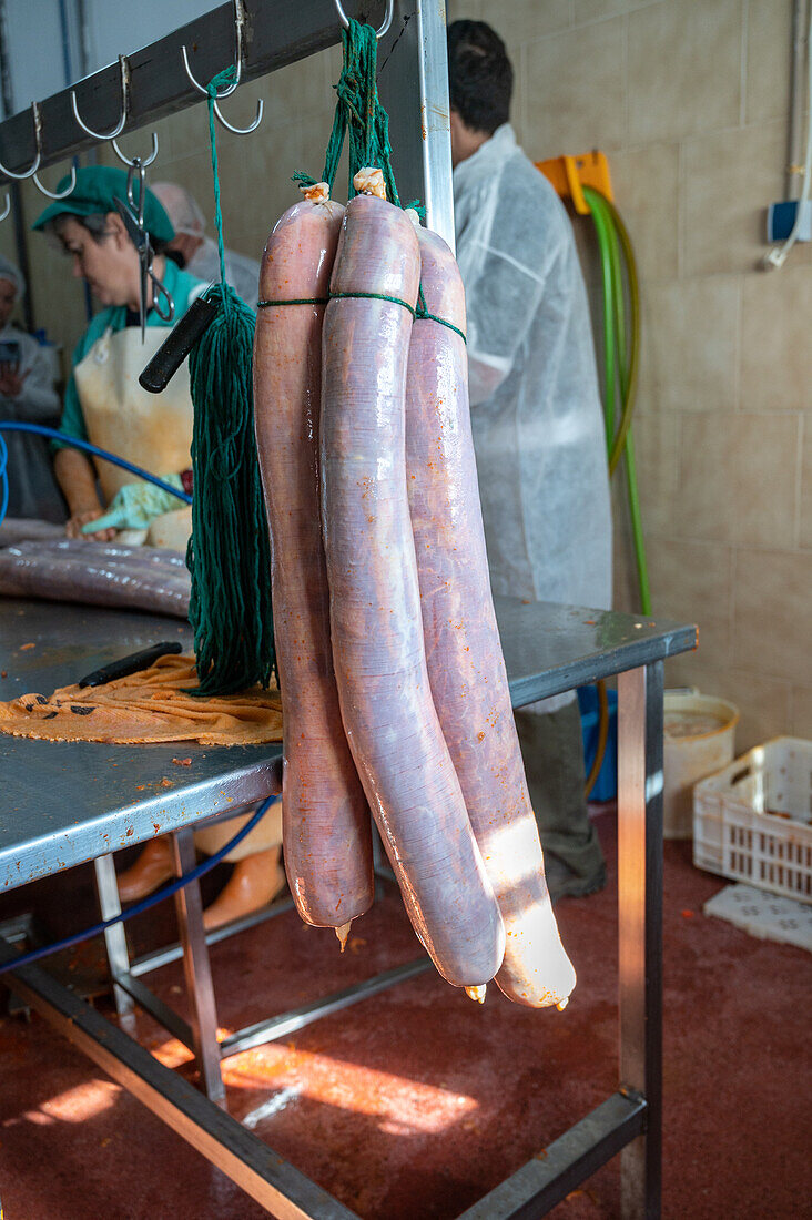 Production of iberian ham (cured ham), Puerto Gil, Spain