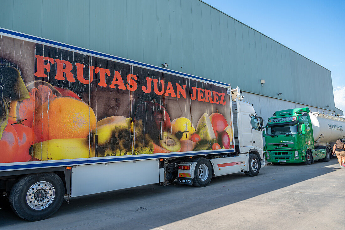 Cereal and citrus cooperative, Puerto Gil, Spain