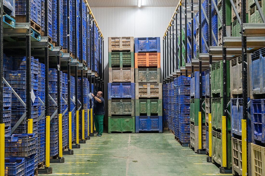 Cereal and citrus cooperative, Puerto Gil, Spain