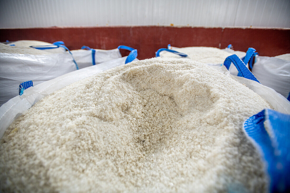 Production of iberian ham (cured ham), Puerto Gil, Spain