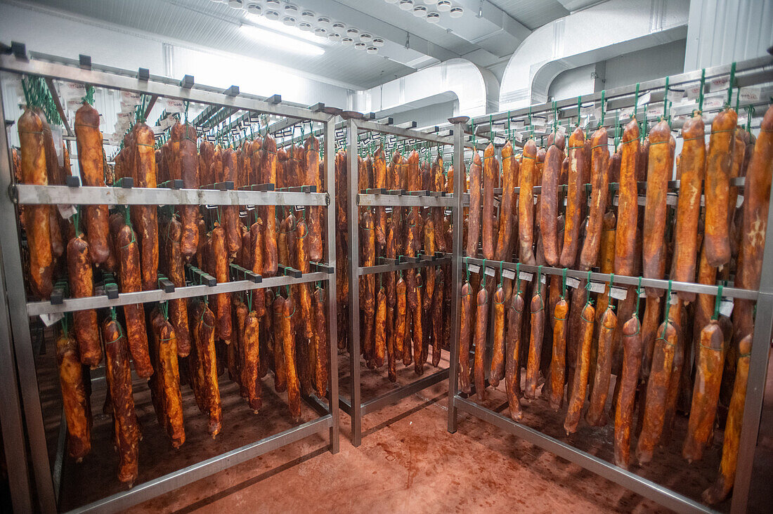 Production of iberian ham (cured ham), Puerto Gil, Spain