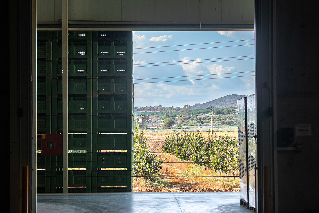 Cereal and citrus cooperative, Puerto Gil, Spain