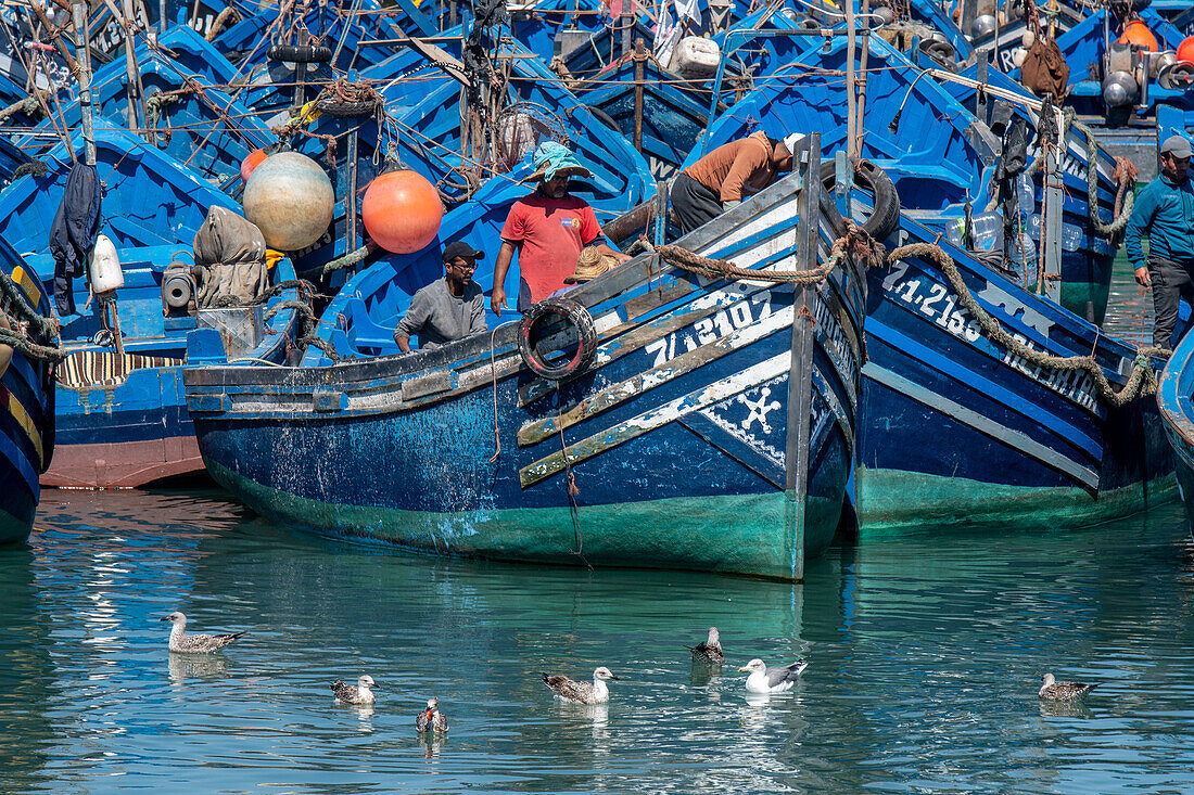 Morocco - Essaouira