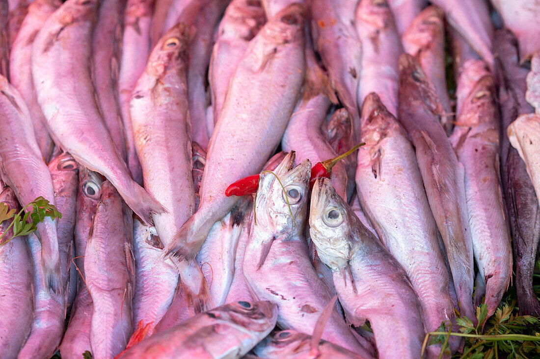 Morocco - Essaouira