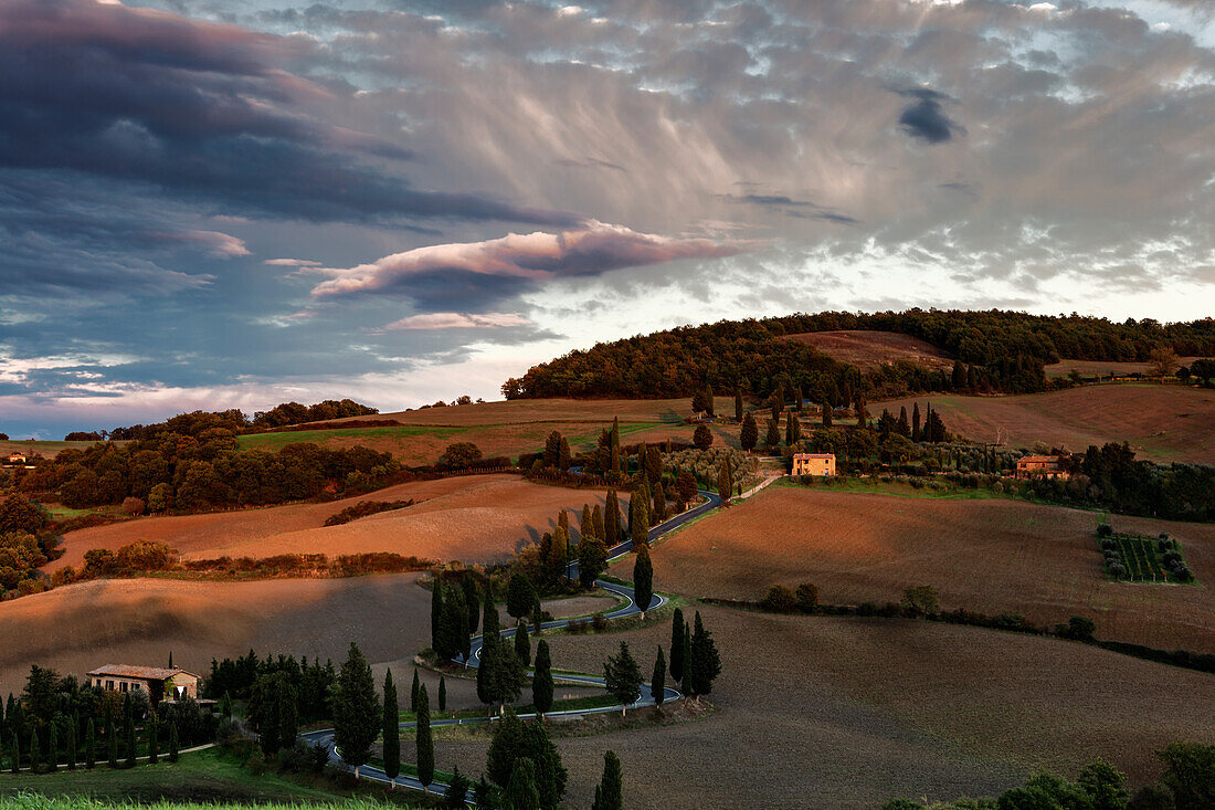 Straße mit Zypressen in Monticchiello, monticchiello, Siena, Italien, Westeuropa, Europa