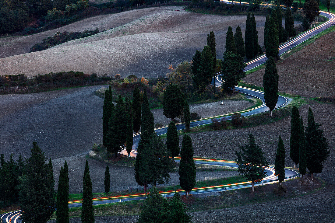 Straße mit Zypressen in Monticchiello, monticchiello, Siena, Italien, Westeuropa, Europa