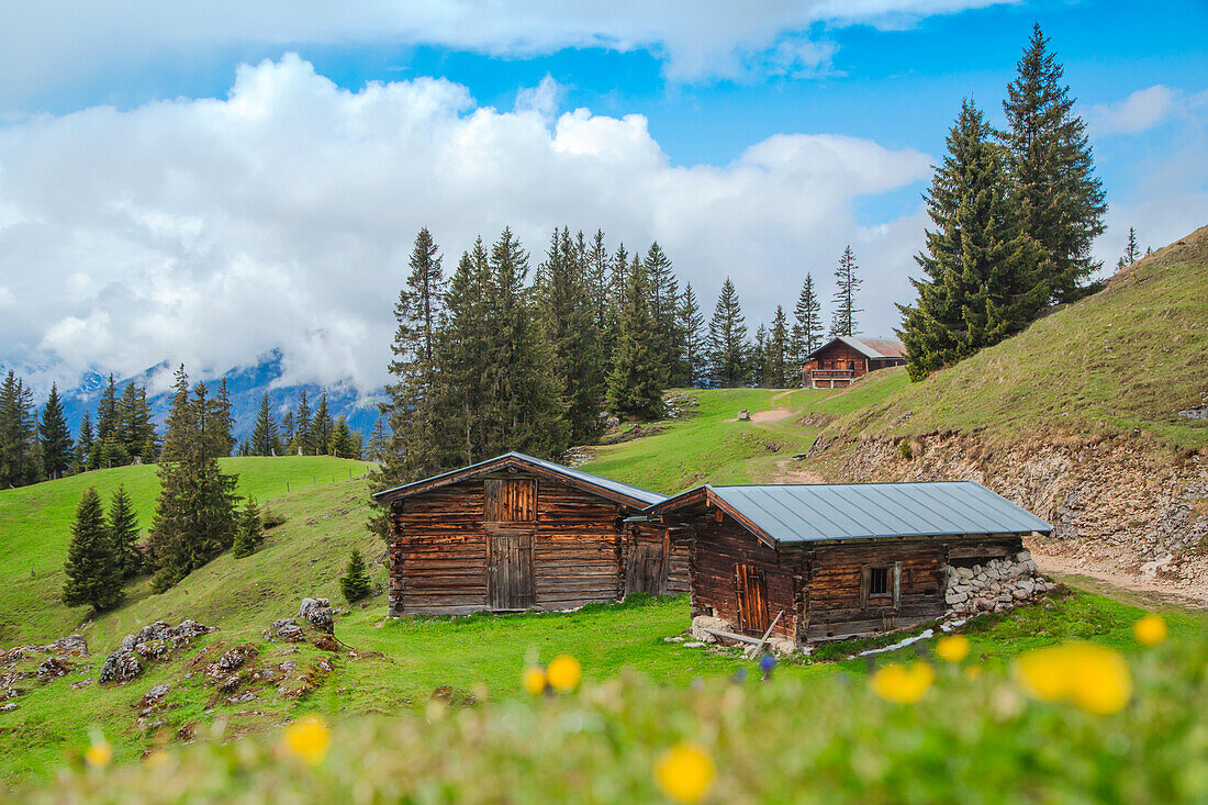 Jocheralm mit ihren Holzscheunen an einem Frühlingstag, Region Brandenberg, Bezirk Kufstein, Tirol, Österreich, Europa