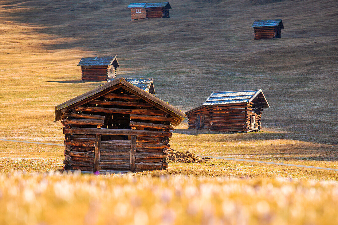 The first light on the barns of Pfundser Tschey valley, Pfunds, Landeck, Tiroler Oberland, Tyrol, Austria, Europe