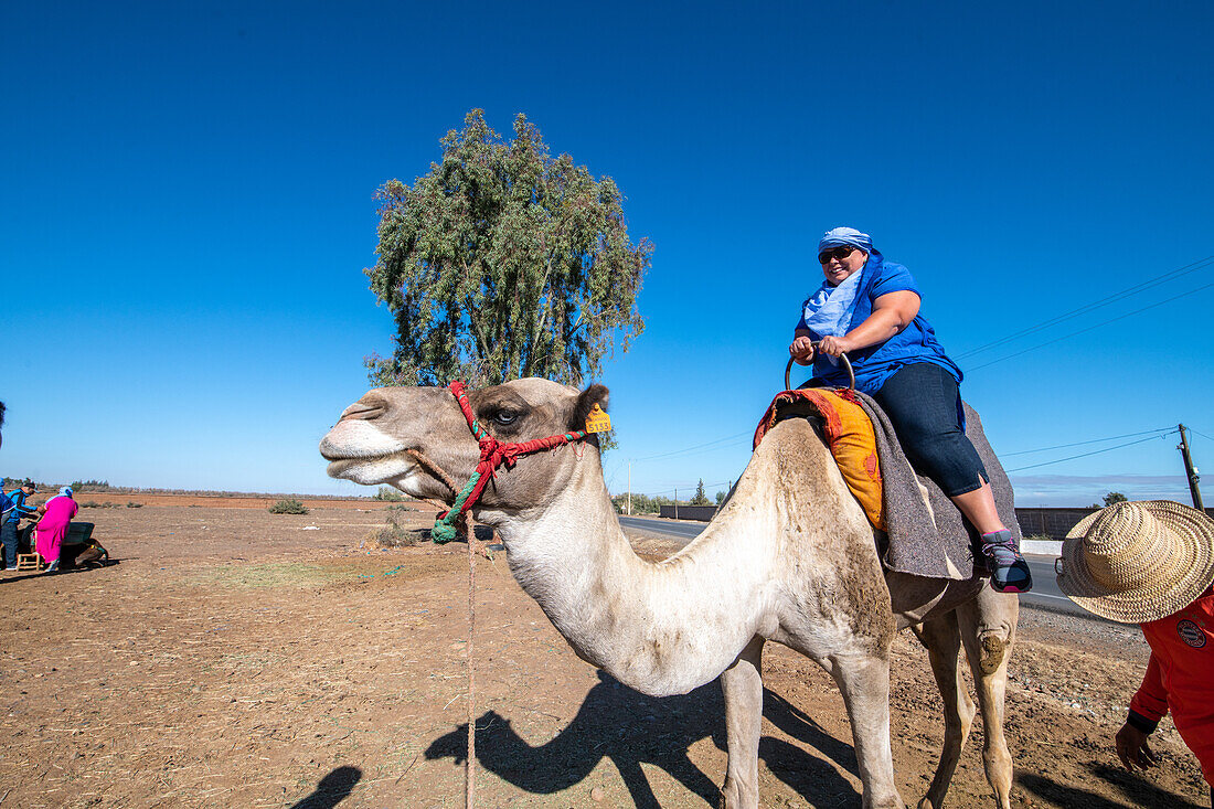 Kamelritt in der Agafay-Wüste Marokko