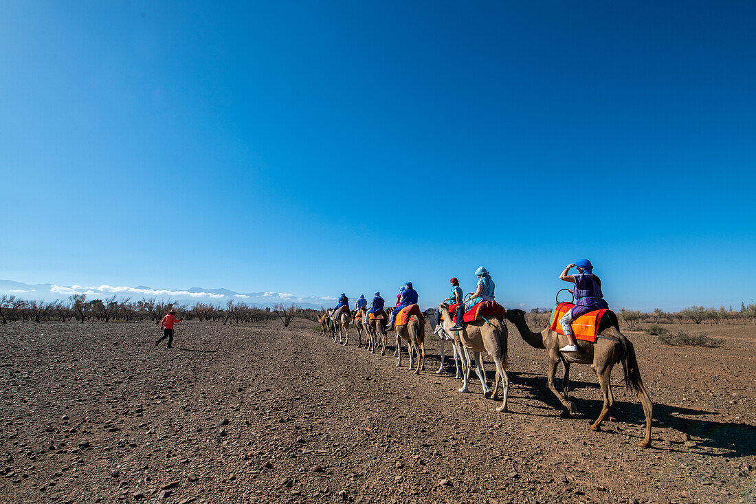 Agafay Desert camel ride Morocco