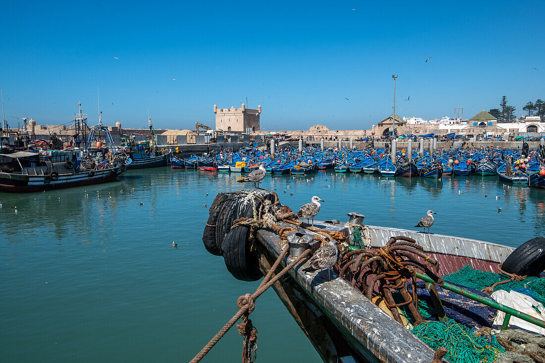Marokko - Essaouira