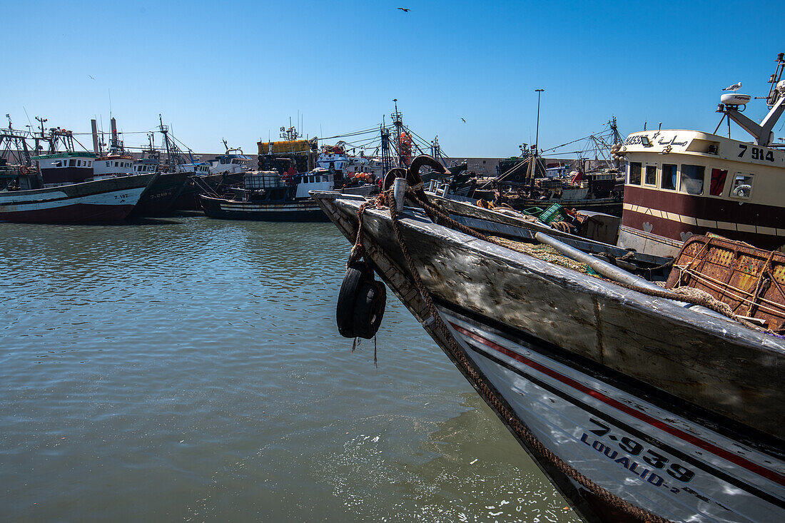 Marokko - Essaouira