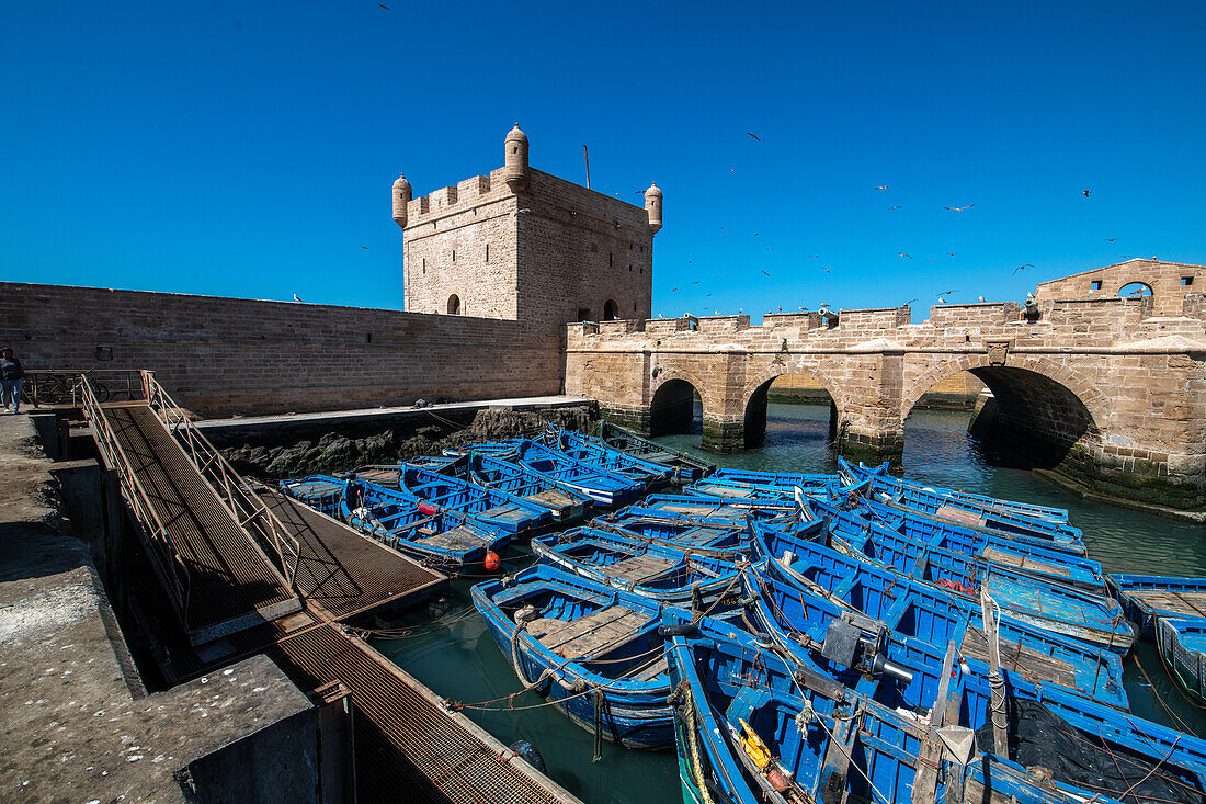 Marokko - Essaouira