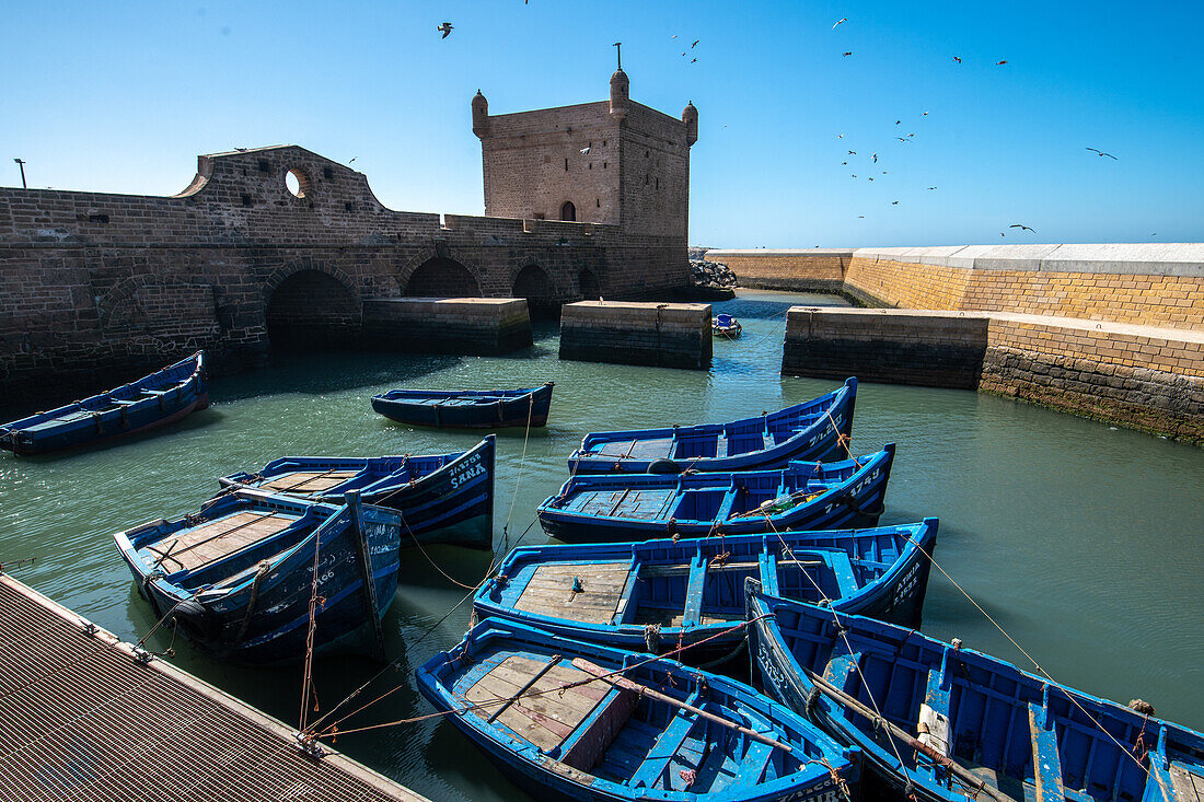 Marokko - Essaouira