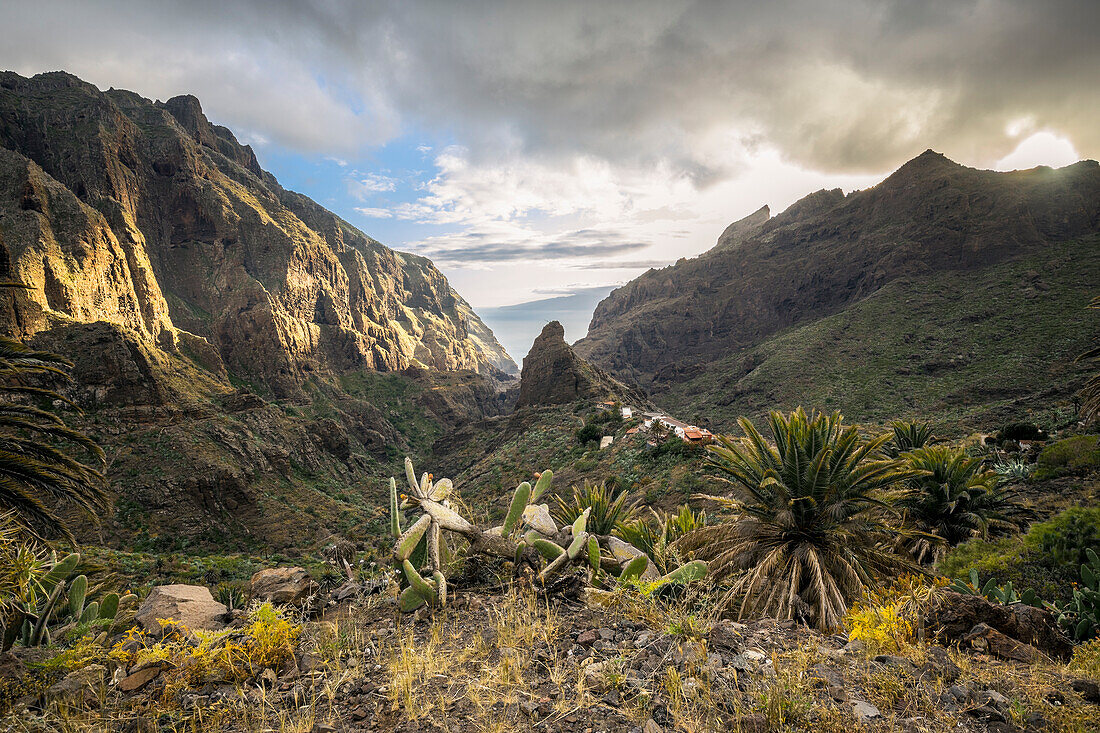 Spanien,Kanarische Inseln,Teneriffa,Teno-Massiv und Masca-Schlucht bei Sonnenuntergang