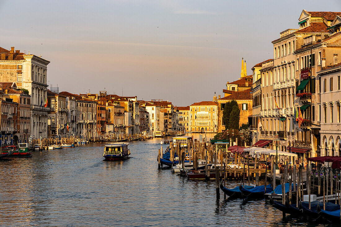 Italy,Veneto,Venice,the first lights of the day illuminate the Canal Grande (Grand Canal)