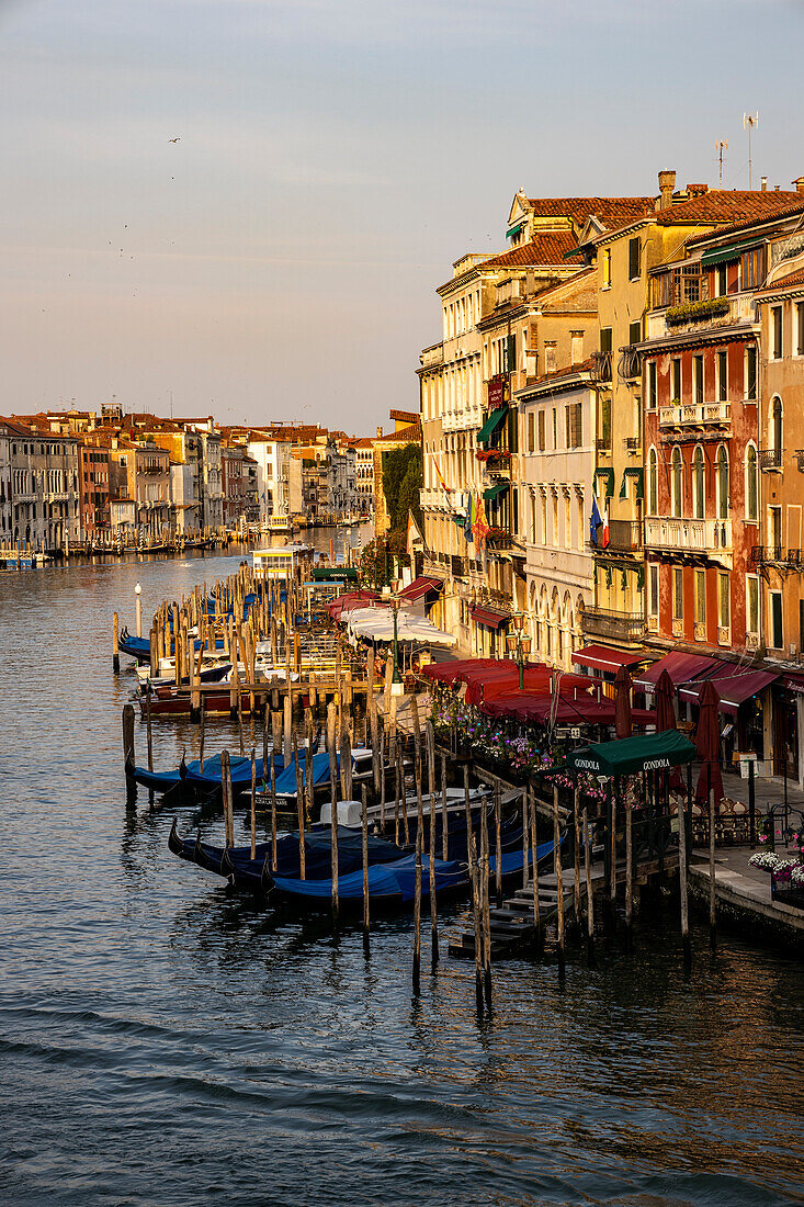 Italien,Venetien,Venedig,die ersten Lichter des Tages erhellen den Canal Grande (Canal Grande)