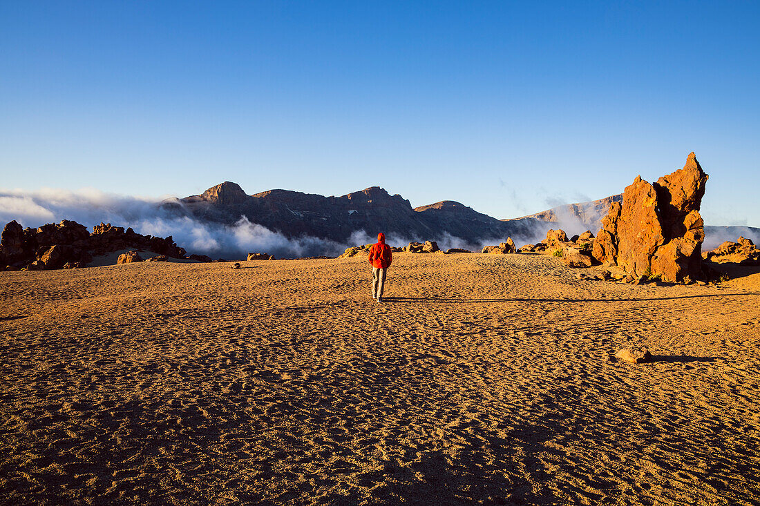 Spanien, Kanarische Inseln, Teneriffa, Teide-Nationalpark, ein Wanderer wandert in der Teide-Caldera (MR)