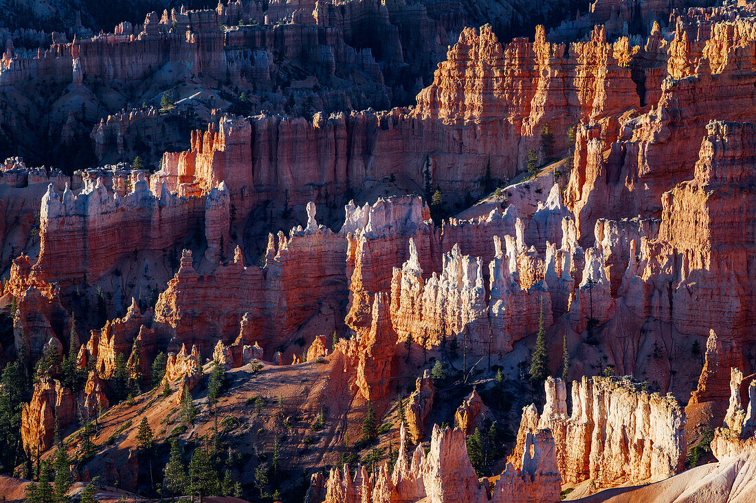 Sunrise at Bryce Canyon, Utah, USA