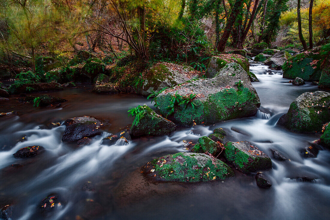 Treja river, Mazzano romano, Rome, italy