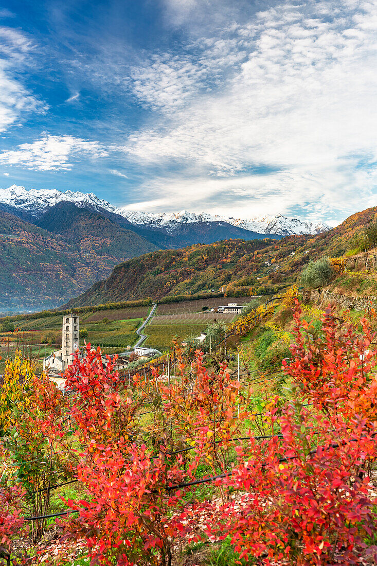 Kirche von Bianzone in den Herbstfarben. Valtellina, Lombardei, Italien, Europa.