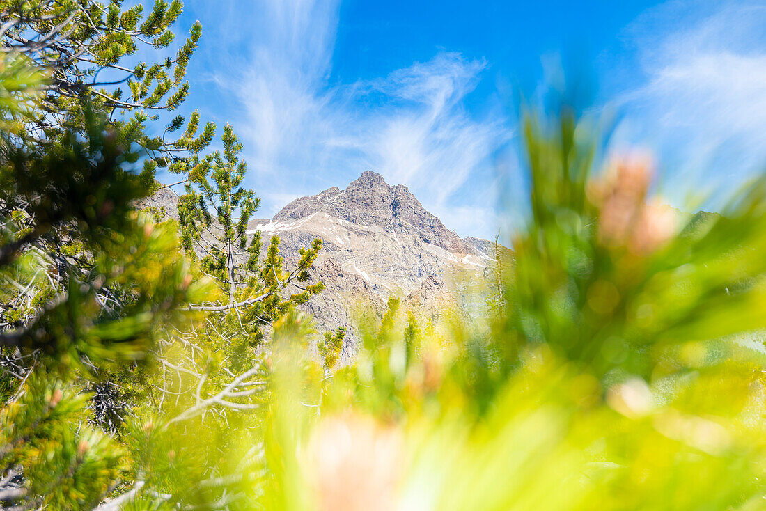 Mont Avic, Vallon de Chalamy, Mont Avic Naturpark, Aostatal, Italienische Alpen, Italien