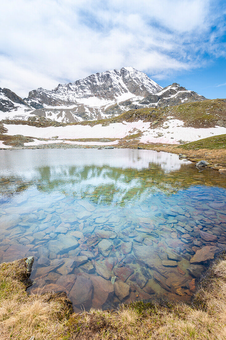 Lac de la Leita und Montgletscher, Vallon de Chalamy, Naturpark Mont Avic, Aostatal, Italienische Alpen, Italien