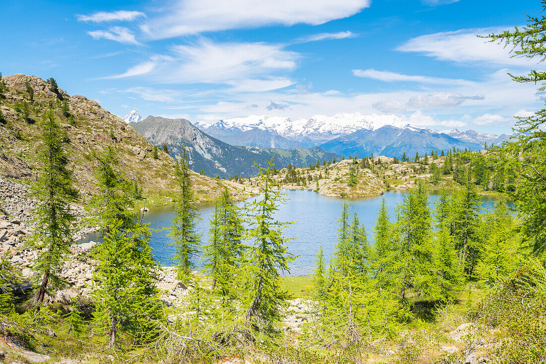 Lac Blanc and Monte Rosa massif, Vallon de Chalamy, Mont Avic Natural Park, Valle d Aosta, Italian alps, Italy