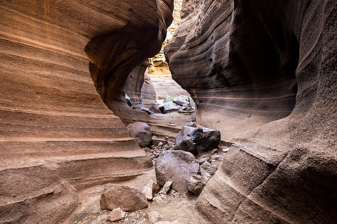 Spanien, Kanarische Inseln, Gran Canaria, Las Palmas, die Schlucht des Barranco de Las Vacas