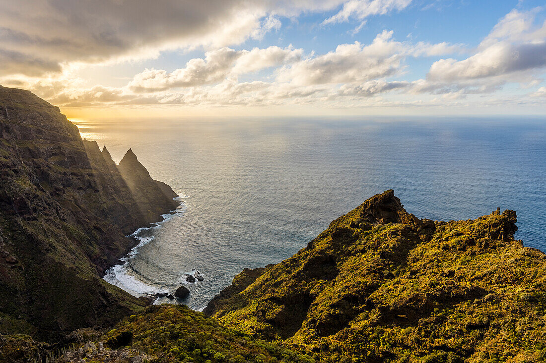 Spain,Canary Islands,Tenerife,cliffs of Anaga Rural Park