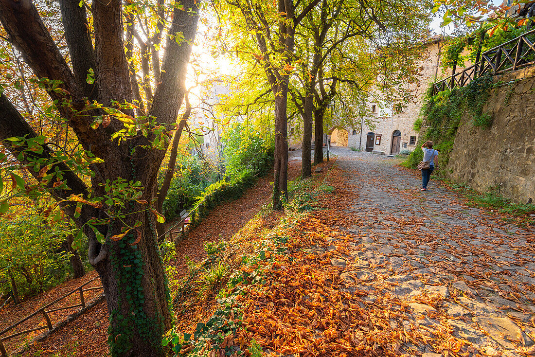 La Scola, Valle del Reno, Bologneser Apennin, Provinz Bologna, Emilia Romagna, Italien