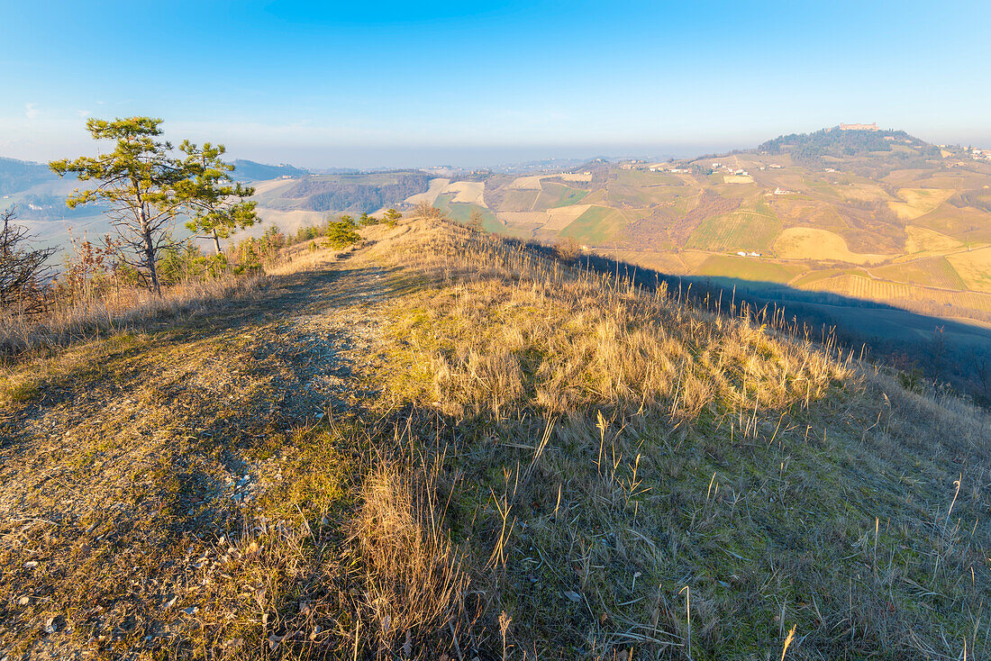 Monte Fratello, Valle del Torrente Ghiaia Coppa, Oltrepo Pavese, province of Pavia, Lombardy, Italy