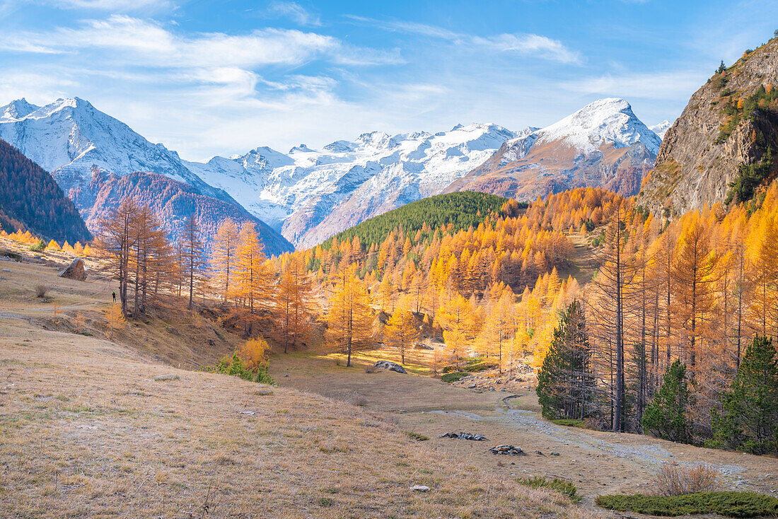 Gran Paradiso und Valnontey vom Grauson Tal aus gesehen, Cogne Tal, Valle d'Aosta, Italienische Alpen, Italien
