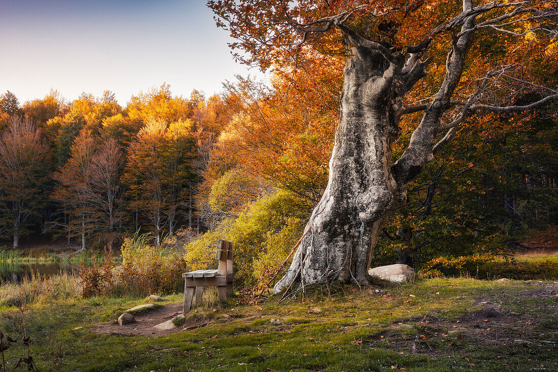 Die Bank des Pranda-Sees, Nationalpark Toskanisch-emilianischer Apennin, Gemeinde Ventasso, Provinz Reggio Emilia, Bezirk Emilia-Romagna, Italien, Europa