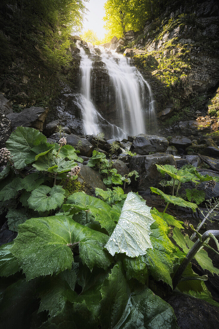 Dardagna waterfalls, Corno Alle Scale Regional Park, Lizzano in Belvedere, Bologna province, Emilia Romagna, Italy, Europe