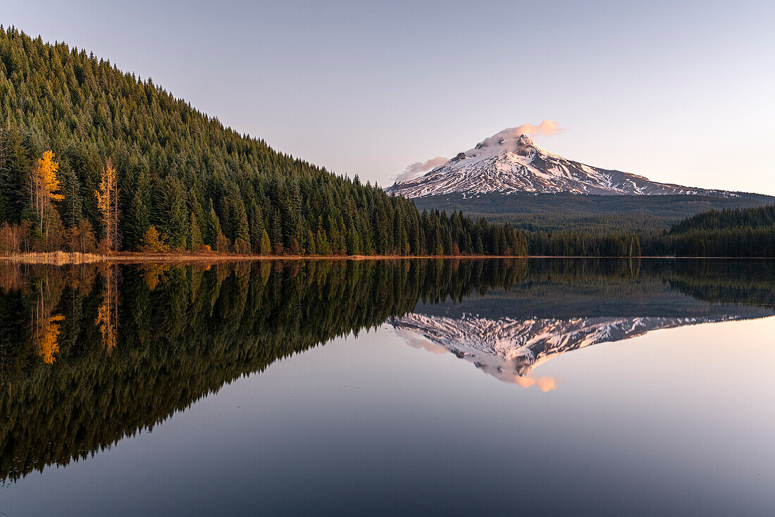 Mt Hood spiegelt sich im Trillium Lake in der Morgendämmerung. Government Camp, Landkreis Clackamas, Oregon, USA.