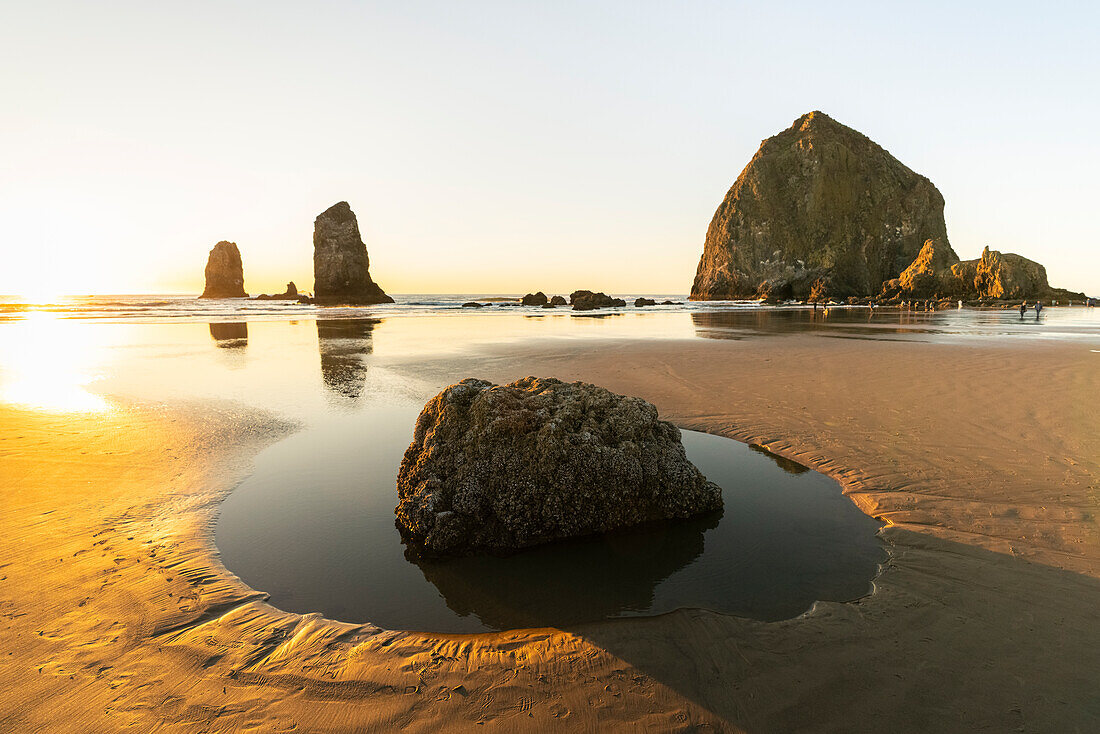 The Needles rocks on Cannon Beach at sunset, with low tide. Clatsop county, Oregon, USA.