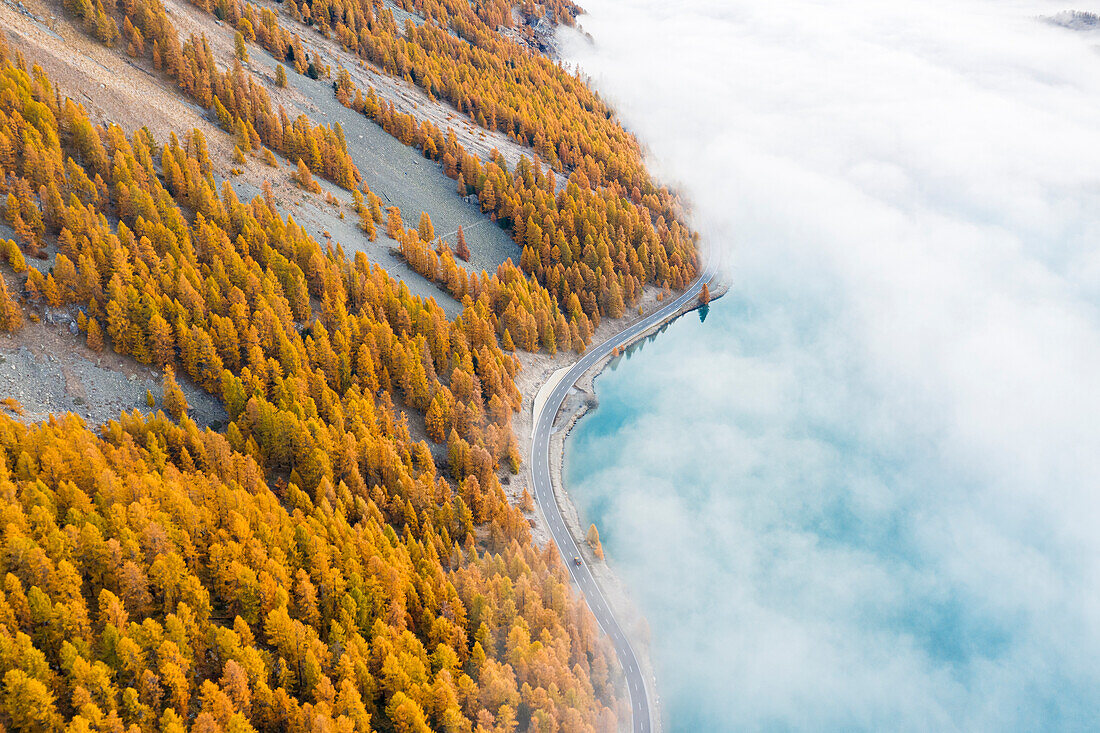 Schweiz, Kanton Graubünden, Region Maloja, Sils im Engadin/Segl: einsames Auto auf der Straße entlang des von niedrigen Wolken bedeckten Silser Sees, im Herbst.