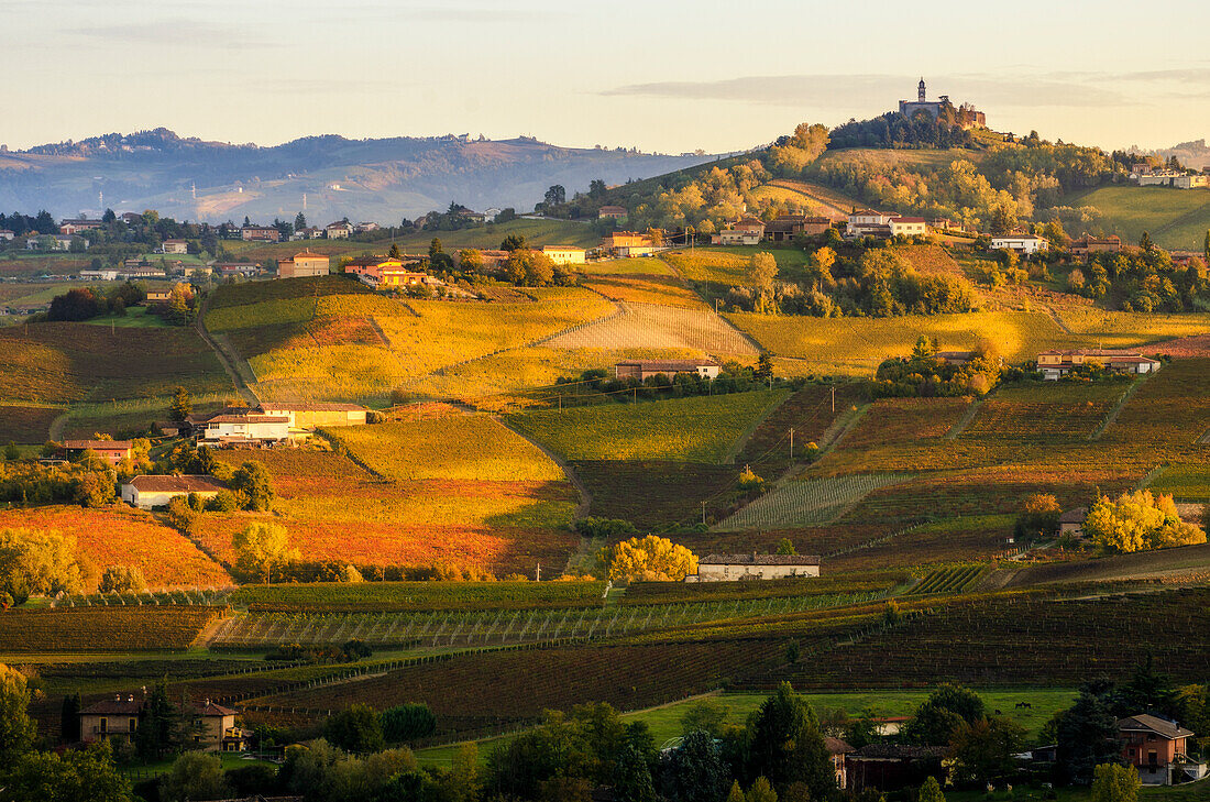 Sonnenuntergang und laubbedeckte Weinberge, Calosso, Piemont, Italien