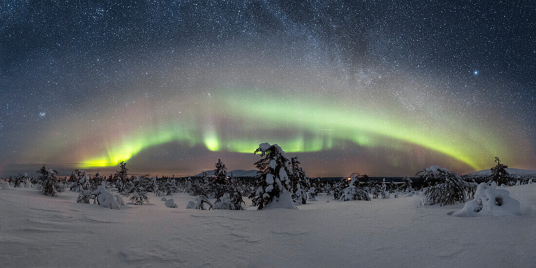 Nordlicht im Pallas-Yllastunturi-Nationalpark (Muonio, Lappland, Finnland, Europa)