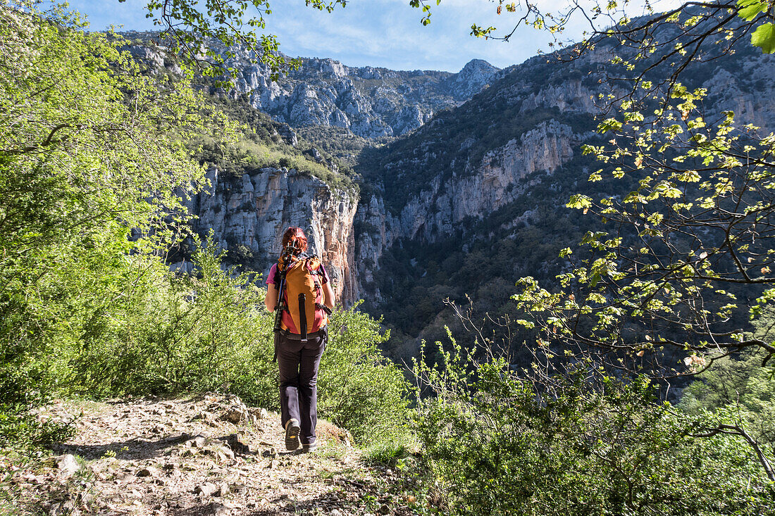 The Imbut Trial: a girl is walking in the Verdon Gorge (Var department, Provence-Alpes-Côte d'Azur, France, Europe) (MR)