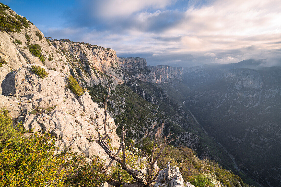 Entlang der Route des Cretes Verdon: die Gorges du Verdon vom Belvedere du Tilleul aus (Departement Var, Provence-Alpes-Côte d'Azur, Frankreich, Europa)